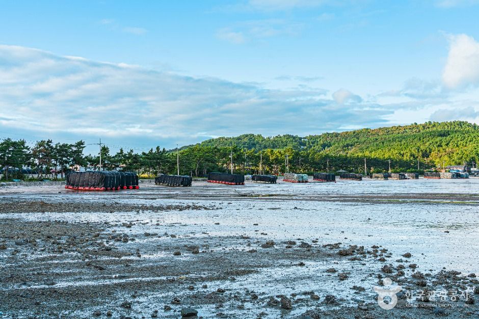 해남_송평마을 (6)