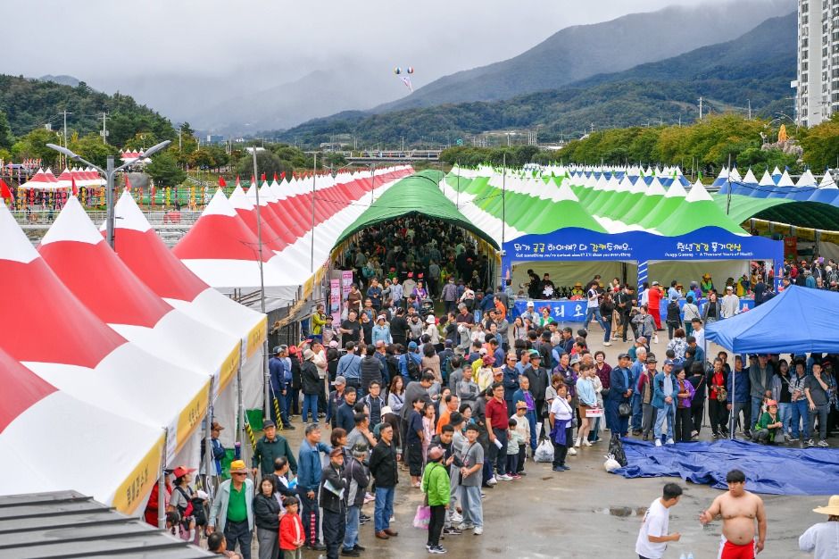 경북영주 풍기인삼축제