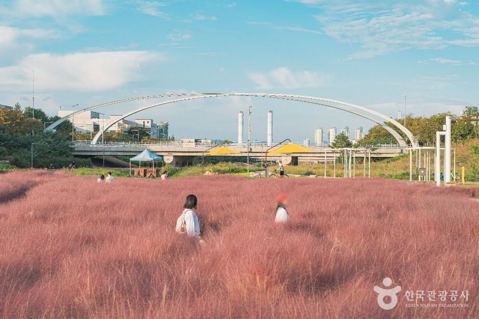 thumbnail-동화울수변공원-5