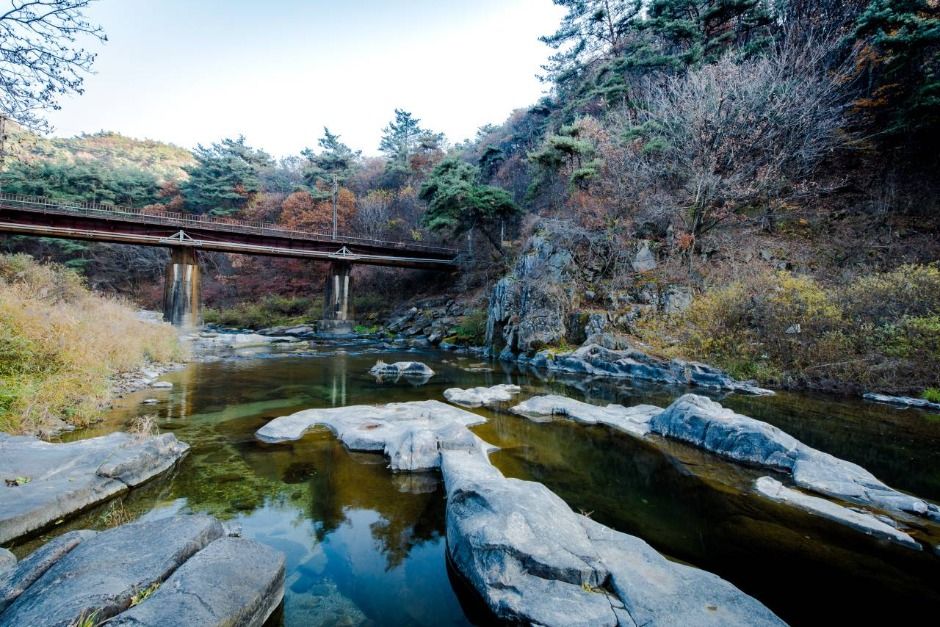 제천통나무펜션