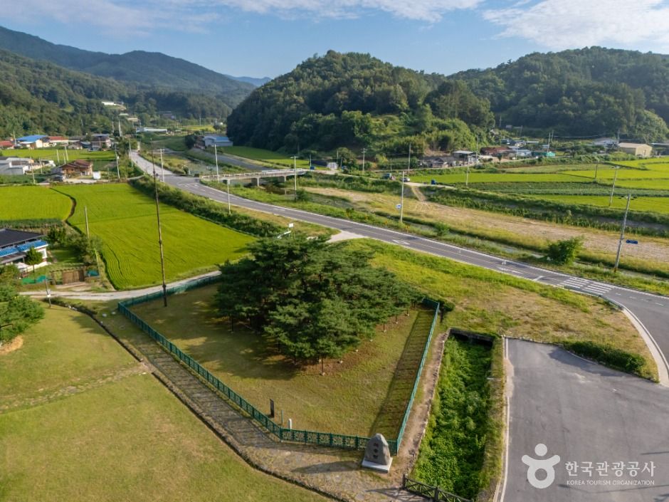 예천_예천 천향리 석송령 (3)