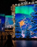 겨울밤 강남 도심을 물들이는 미디어 윈터페스타 산책기 2025 강남 미디어 윈터페스타 1