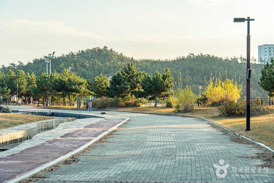 오시아노해수욕장