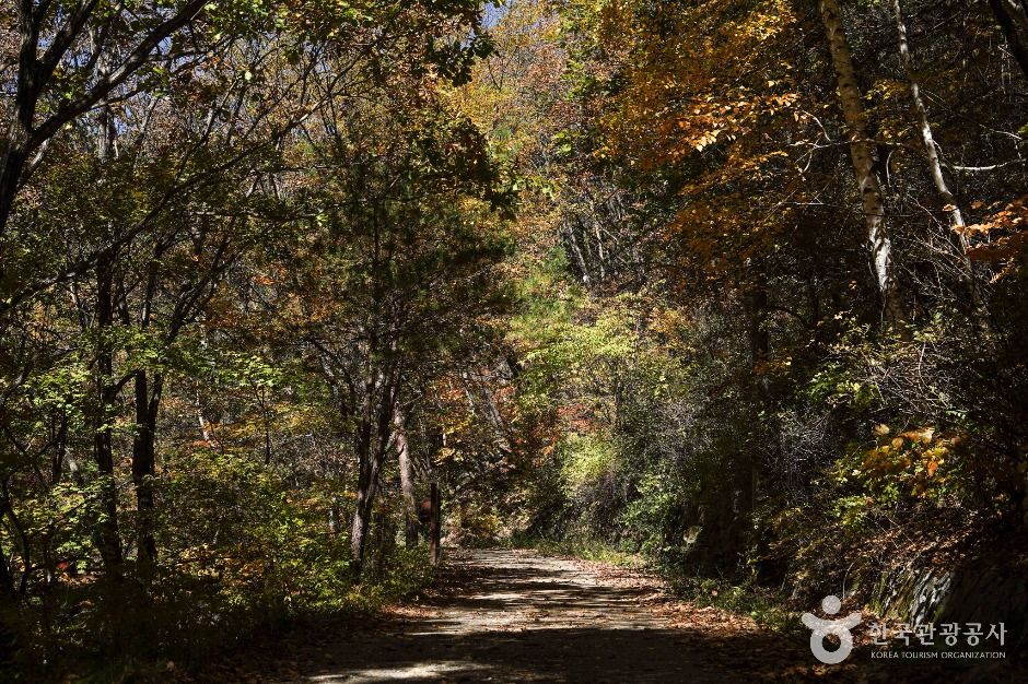 봉화 대현리 열목어 서식지