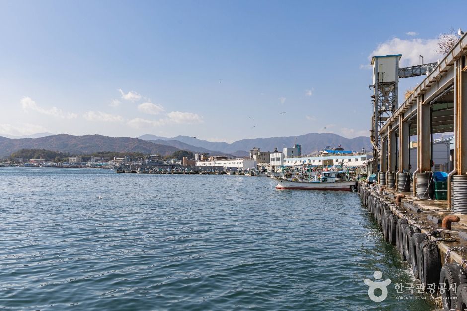 고성_강원평화누리길 18코스 고성 거진명태고향길 (5)