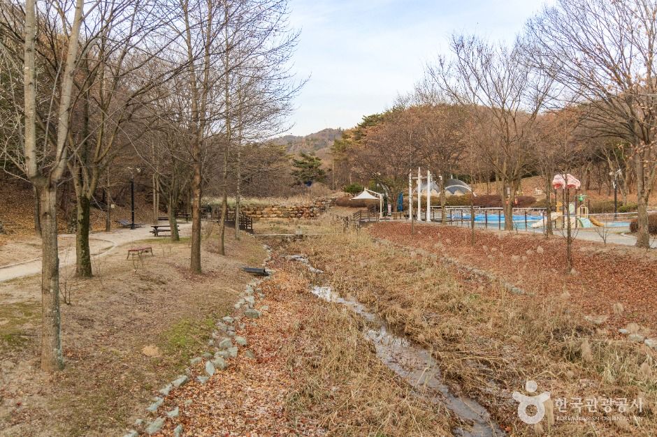 도음산 산림문화수련장