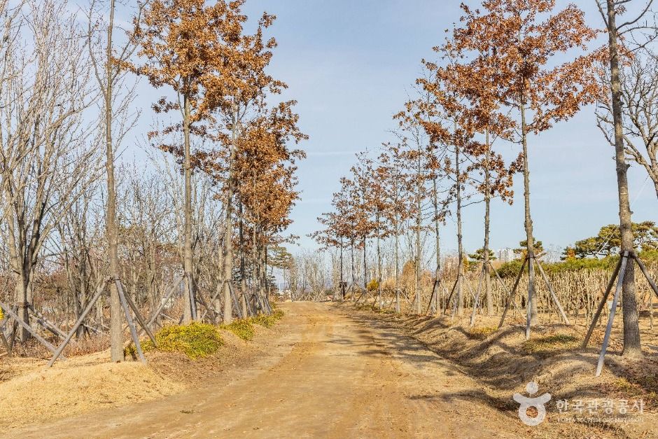 thumbnail-충주 시민의 숲-10