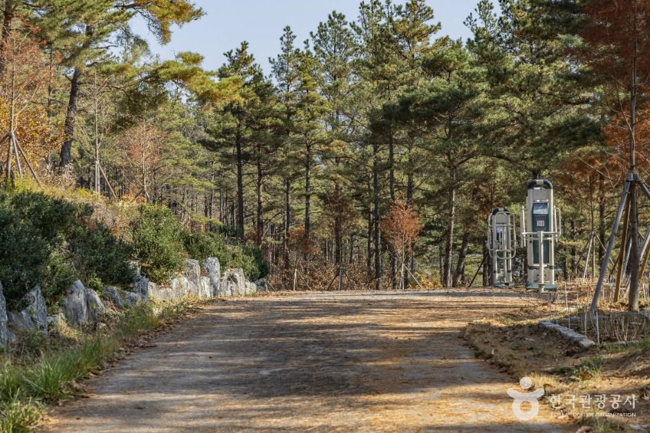 진안_고원화목원 (9)