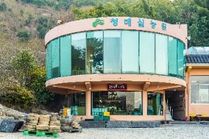 홍쌍리 청매실농원