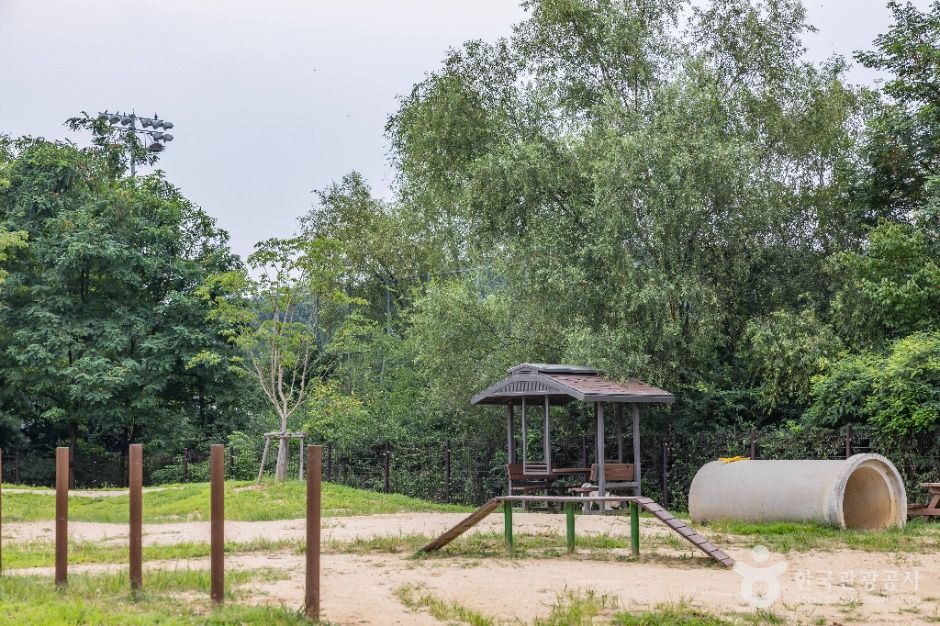 인천_인천대공원 반려동물 놀이터 (5)