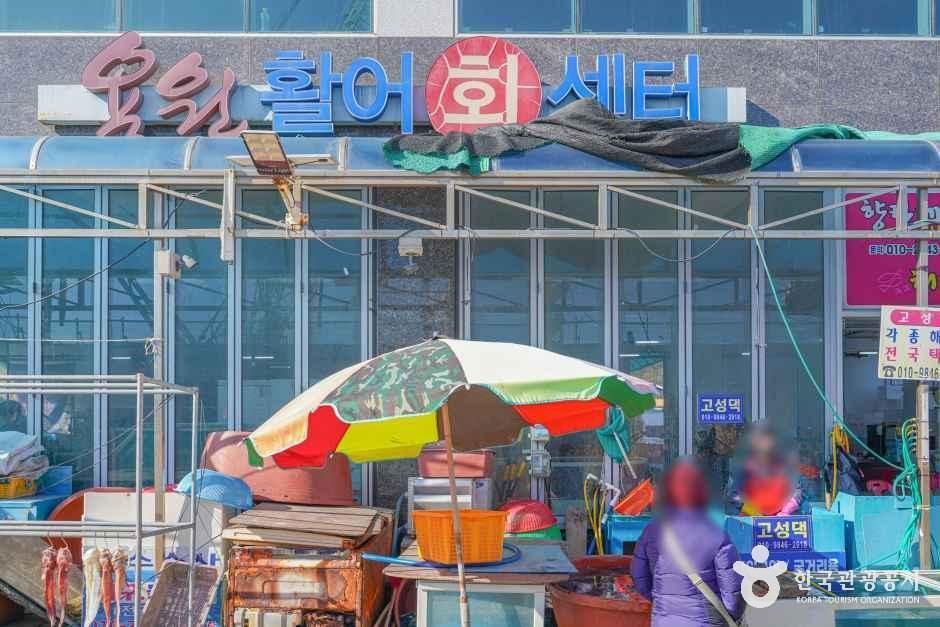 용원활어회센터