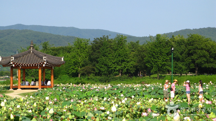경주 동궁과 월지 사진5