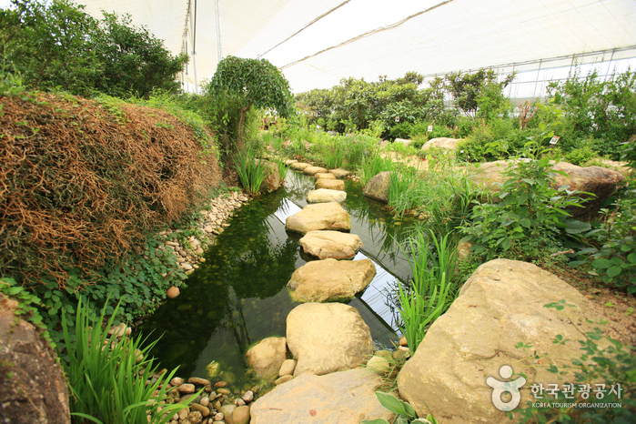 Ewhawon Garden (이화원)