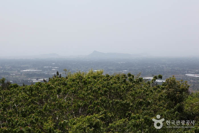 [제주올레 13코스] 용수-저지 올레6