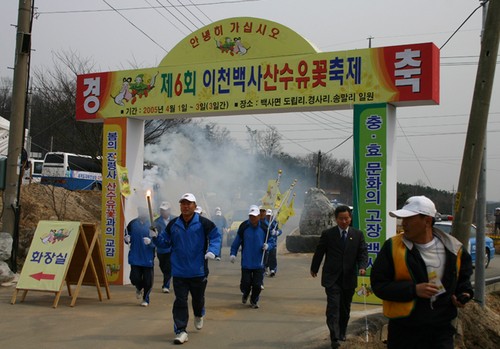Icheon Baeksa Sansuyu Flower Festival (이천백사 산수유꽃축제)
