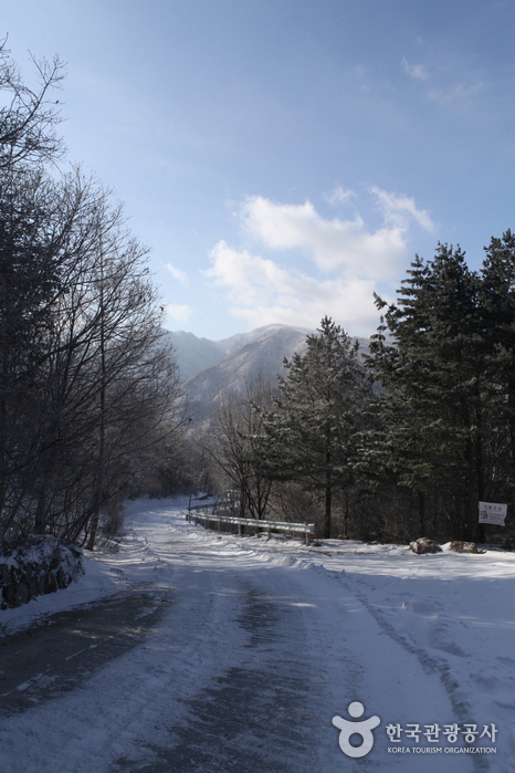 Sobaeksan National Park (소백산국립공원)