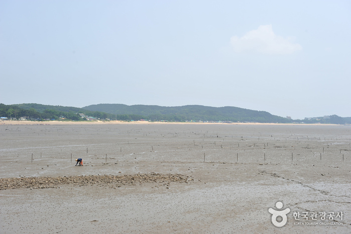 Playa Masian de la Isla Yongyudo (용유도 마시안해변)