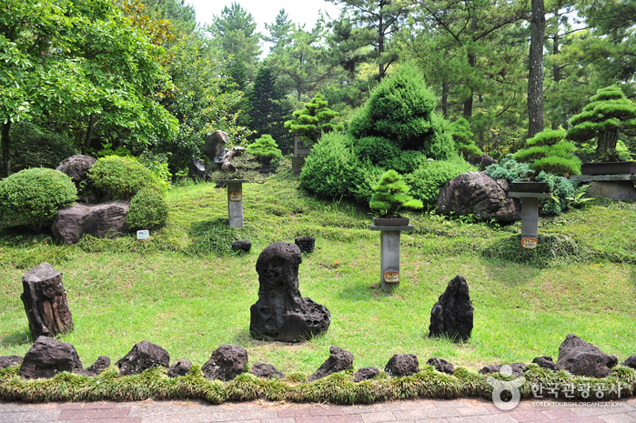 Hallim Park (한림공원)