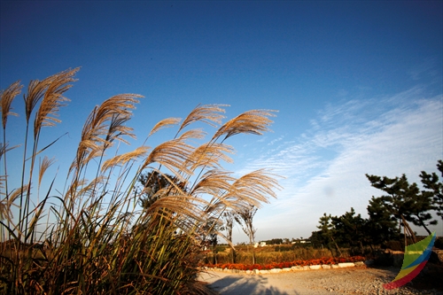 Julpo Ecological Park (줄포자연생태공원)