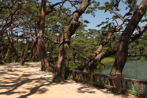Uirimji Reservoir (제천 의림지와 제림)