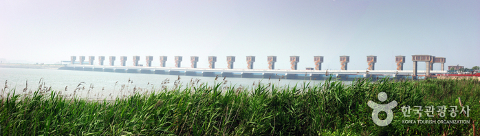 Geumgang Estuary Bird Sanctuary (금강하구둑 철새도래지)