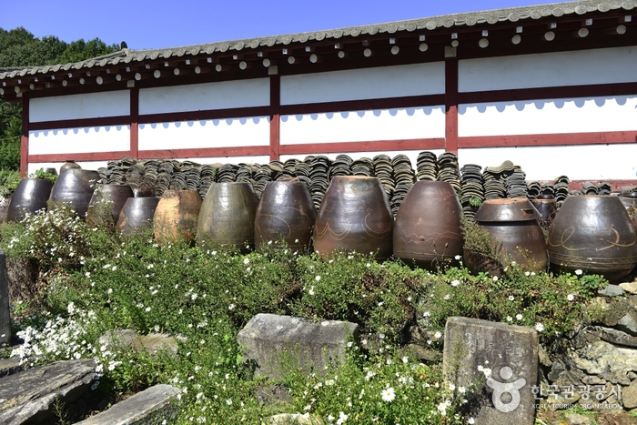 燕岐乡土博物馆(연기향토박물관)