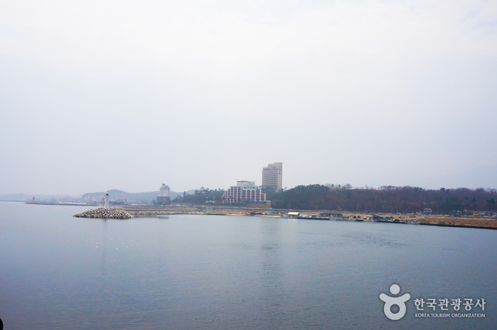 대포항 사진16