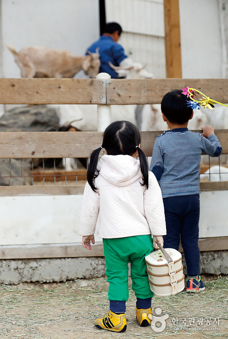 아이들이 좋아하는 동물농장. 먹이 주기 체험도 가능하다