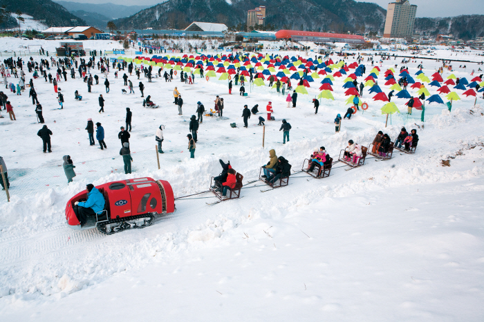 平昌鱒魚節(평창송어축제)