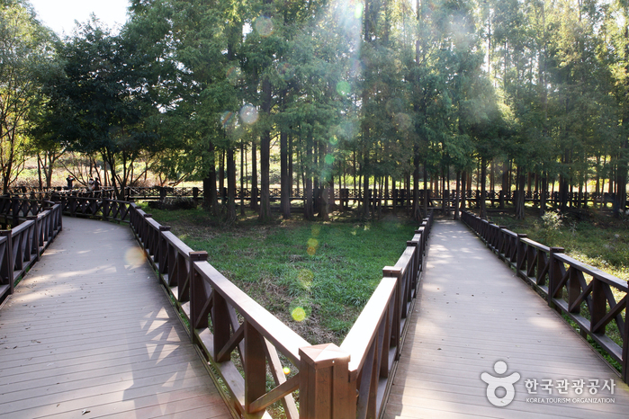 Eco-parc du lac de Gwangjuho (광주호 호수생태원)