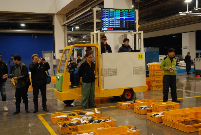 Fischerei-Großhandelsmarkt Noryangjin (노량진수산물도매시장)