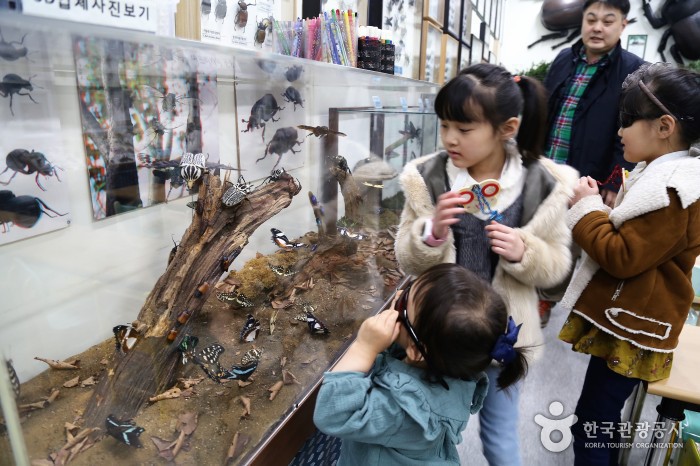 3D입체사진보기