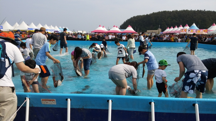 Festival de la Platija y el Besugo de Seocheon (서천 자연산 광어 도미 축제)