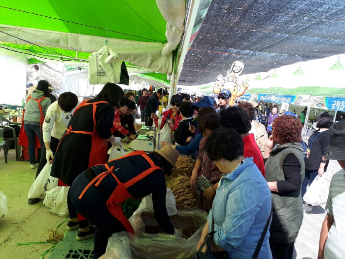 음성 인삼축제 20191