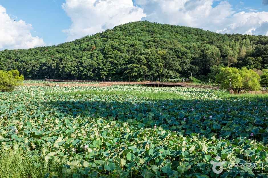 thumbnail-문성지-2