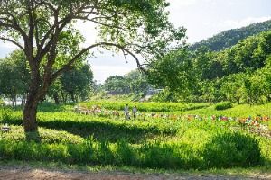 2025 공주 석장리 구석기축제 4