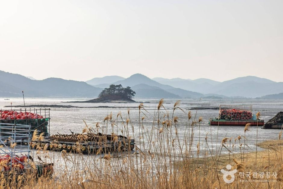 와온해변