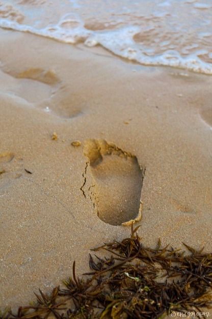 신지명사십리해수욕장