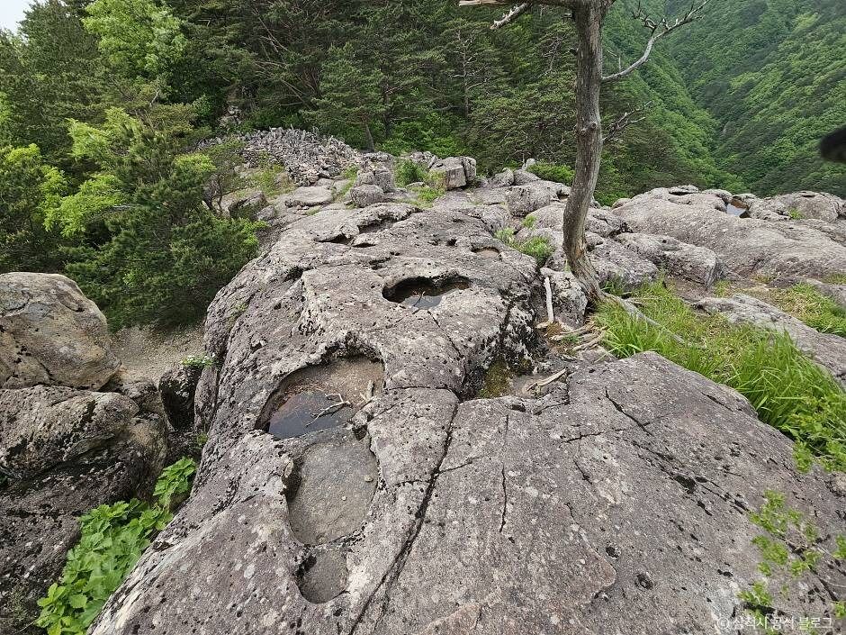 쉰움산