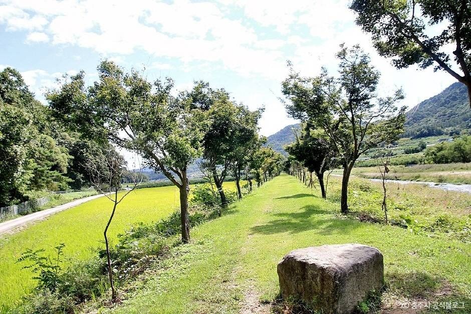 충주_비내길 (4)