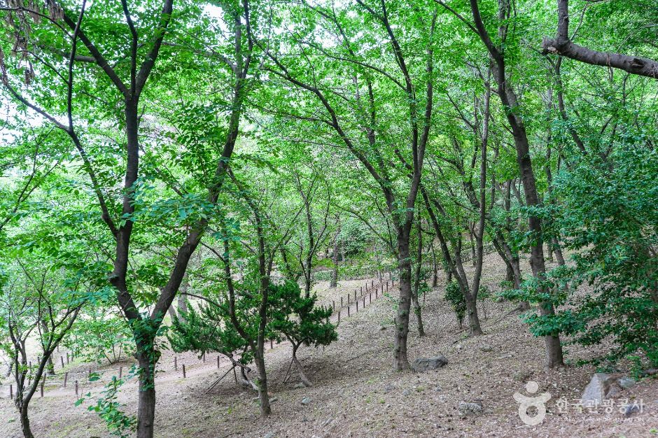 울산_학성공원 (4)