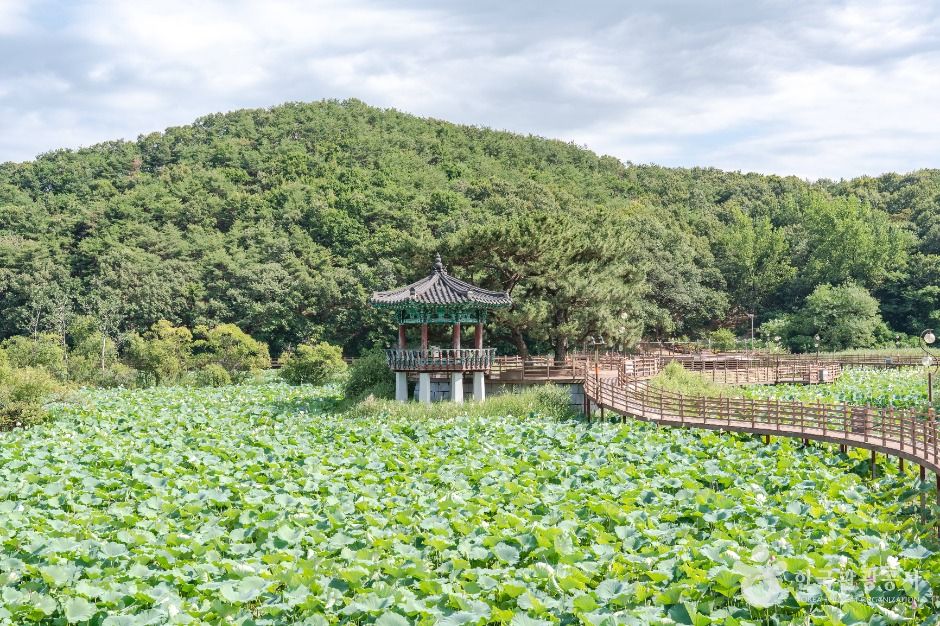 들성생태공원