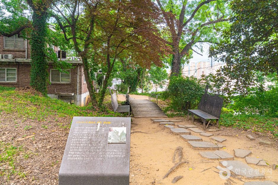 양림동 호랑가시나무길