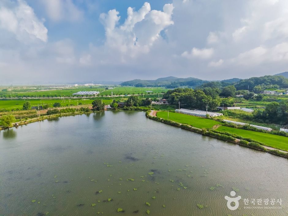 thumbnail-분지섬저수지-5