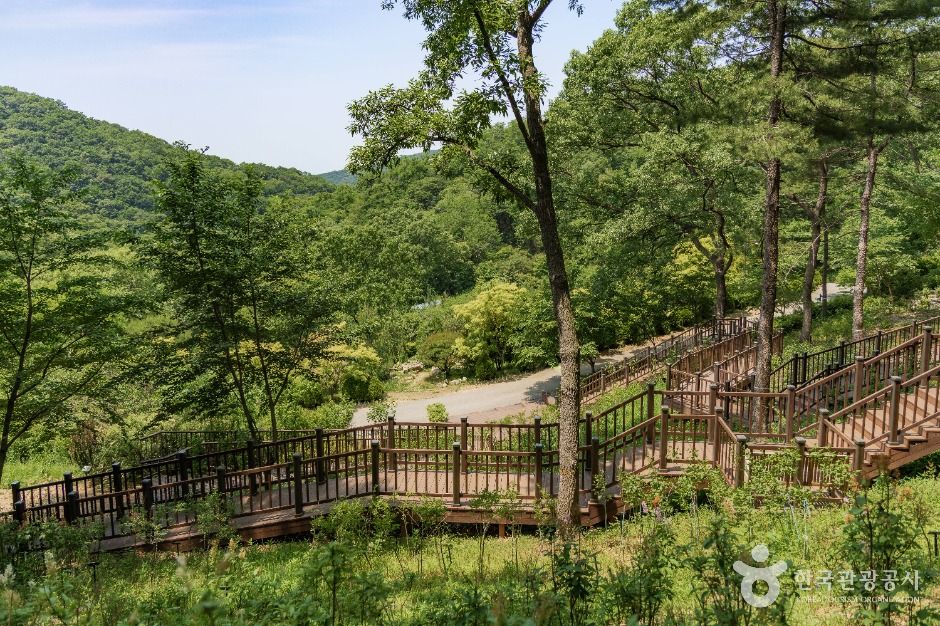 thumbnail-율곡수목원-6