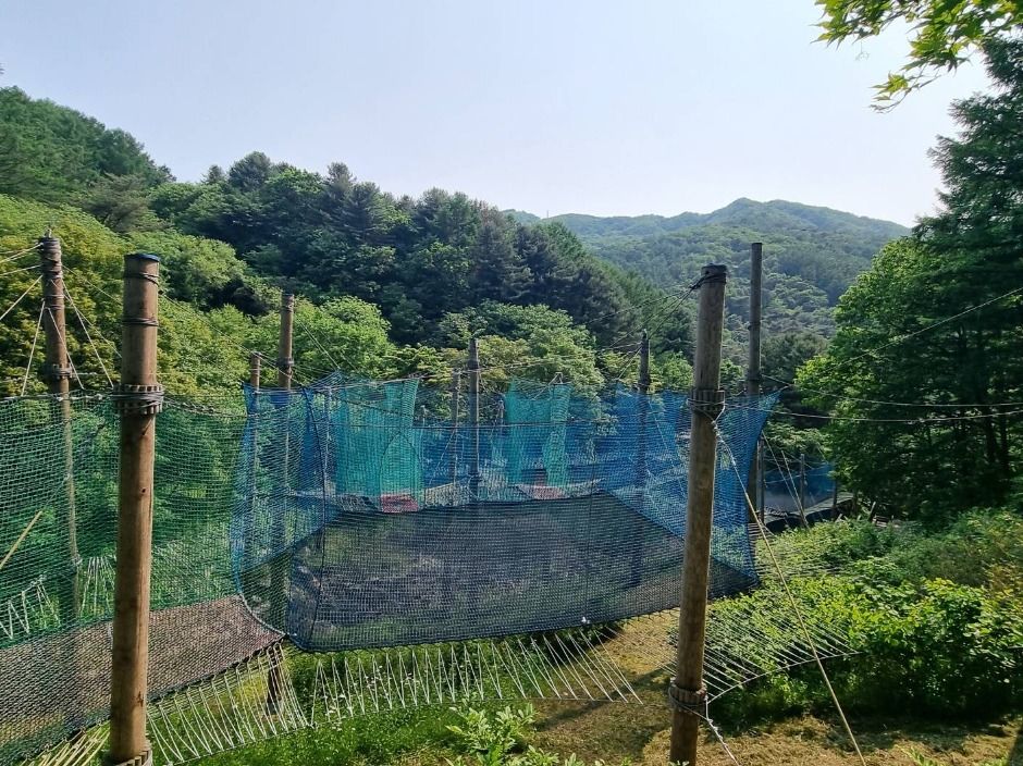 thumbnail-놀자숲-25