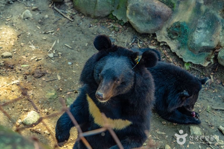 지리산 반달가슴곰 공존센터