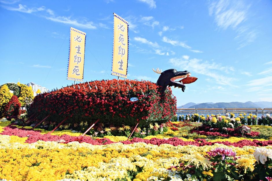 마산가고파국화축제