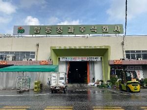 원주_원주 농산물도매시장 (5)