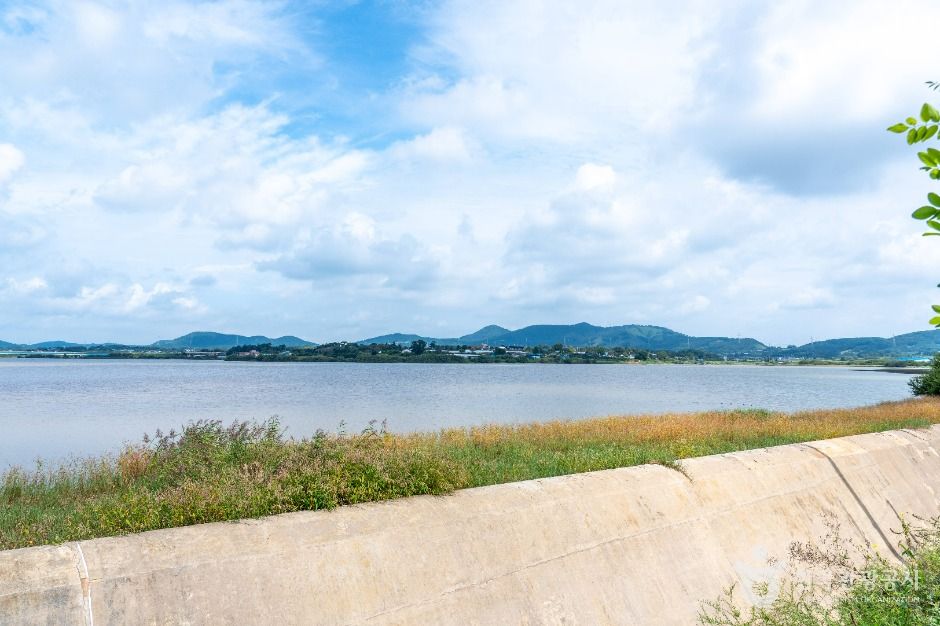 서산_성암저수지 (5)